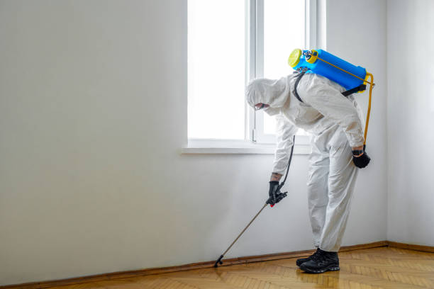 Best Indoor Pest Control  in Boonville, CA